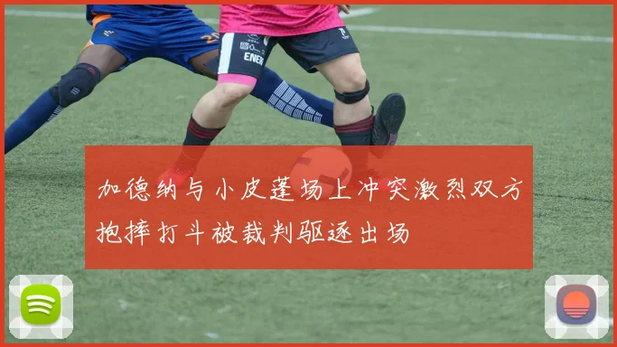 加德纳与小皮蓬场上冲突激烈双方抱摔打斗被裁判驱逐出场